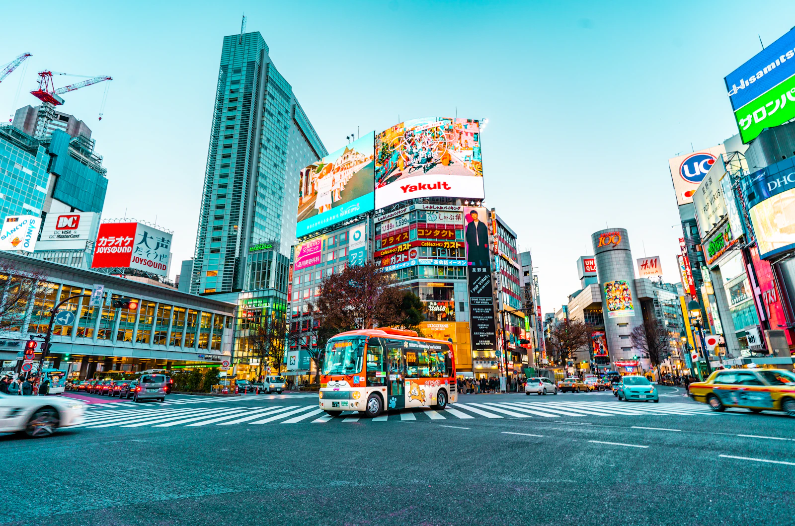 Shibuya & Harajuku Hidden Street Food Tour